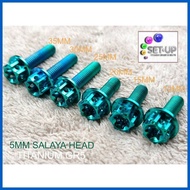 ╱ ― ✸ TITANIUM GR5 5MM BOLTS SALAYA HEAD