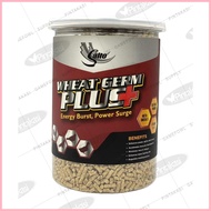 ◐ ♆ NEW PACKAGING Salto Wheat Germ Plus 700g for Conditioning for Gamefowl Rooster