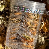 Florentine Cookies Crunchy | Biskut Florentine Rangup