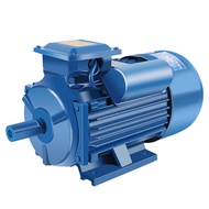 HY&amp; YLNational Standard Single-Phase Motor220V0.55/0.75/1.1/1.5kw2.2/3KW Single-Phase Small Motor OWYX