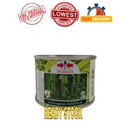 Benih Timun Batang Thailand Cap Panah Merah Jumbo Green  F1 Hybrid Cucumber Seeds (Fast Shipping)