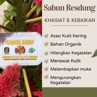 SABUN PARUT SABUN RESDUNG SABUN JERAWAT BADAN SABUN JERAGAT SABUN KULIT KUSAM SABUN KULIT KERING SAB