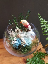 海藏設計│Rainforest 熱帶雨林玻璃球。乾燥花玻璃。開幕花禮