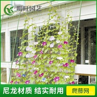 Climbing Gardening Vines Melon Fruit Climbing Vines Nets Matching Frame Plant Passion Fruit Bean Hor
