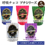 Japan KOKYU CHOCOLATE Breath Big Bag 320g About 64 Pcs/North Shindi/Osaka