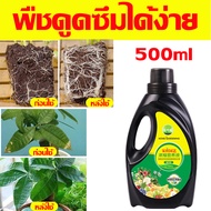 🌱1ขวดเท่ากับ20ขวด 🌳น้ำยาเร่งราก ปุ๋ยเร่งราก เร่งราก 500ML เข้มข้นสุด ปุ๋ยอินทรีย์เหลว ดูดซึมสารอาหารเร็ว การรูตที่แข็งแรง เพื่อการเพาะเมล็ด ปลูกต้นกล้า แยกหน่อ แยกต้นไม้ ไม้มงคล ไม้ดอก ไม้อวบน้ำ เจลเร่งราก น้ำยาเร่งราก b1นำ้ยาเร่งราก ผงเร่งรากพืช