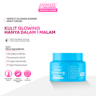 Animate Perfect Glowing Barrier Night Cream 10 gr
