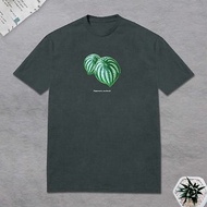 植物 西瓜皮椒草 T恤 觀葉植物