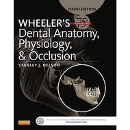 Wheeler's Dental Anatomy, Physiology and Occlusionon book, 10th Edition