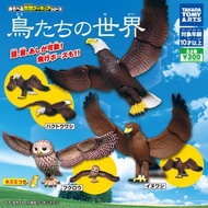 鳥之世界 鳥類的世界 可動扭蛋 Takara tomy 白頭鷹 貓頭鷹