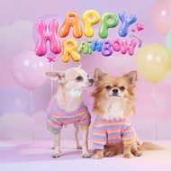 Pet Clothes Rainbow Happy Collection Dog Clothes Cat Clothes | CLAWSET.BKK