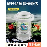 Guppy Fish Tank Incubation Box Breeding Isolation Box Guppy Zebra Female Fish Guppy Delivery Room Sm