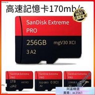 公司貨  SanDisk 高速記憶卡 1TB 512G micro sd 256G switch專用記憶卡 手  露天市