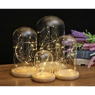 Clear Glass Cloche Display Dome With LED Fairy Lights Cistmas Decor Gift