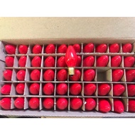 Light bulbs for altar installation, box of 50