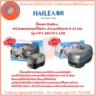Hailea Air Pump With Built-In Battery Reserve For 8-12 Hours. Model CPA-80/CPA-120