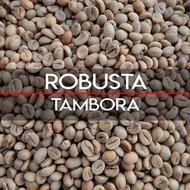 Green Bean Robusta Tambora 1Kg  Biji Kopi Mentah