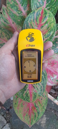 Gps Garmin Etrex 12 Chanel Second Mulus