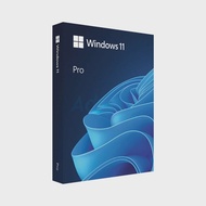 MICROSOFT WINDOWS 11 PRO (ENG / 64 BIT / FPP / USB / HAV-00163)