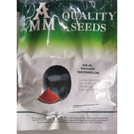 Benih Boci AM88 Seedless Tembikai Merah Tanpa Biji paket 200gram