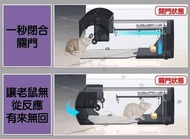隧道式捕鼠器 老鼠夾 捕鼠洞 家用滅鼠器 補鼠器 家居補鼠陷阱 鼠洞式 人道捕鼠 老鼠洞 老鼠剋星 抓鼠籠 倒扣捕鼠器