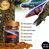 Maggot Super Red Fish Food for Channa, Predator, Arowana