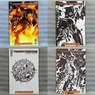 Transformers: Stormbringer 4/4 Complete Set (IDW Publishing I-P) Simon Furman, Don Figueroa (HTF)