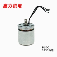 Motor Rotor Luaran Pistol Fascia Mikro DC Tanpa Brushless 2830 Motor Massager Motor Tanpa Brushless 