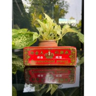 Gold Box Seng Heng Lee Shop Antique Items Collected