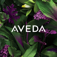 [6.6 Pre-Sale | 19 May - 5 Jun (8PM) ] AVEDA Scalp Solutions Exfoliating Scalp Treatment 150ML + sca