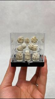 沙漠玫瑰石 | Desert Rose 內蒙 | Inner Mongolia, China