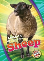 Sheep Christina Leighton
