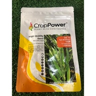 Benih CROP POWER Bendi Okra Ten Brothers OK10 50 GRAM