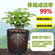 Root Limiting Soil for Planting j8Drainage Board Fence Seedling High Planting j8Thickened Tree Board