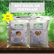 1KG/10L Set Baja AB Fertigasi Hydroponic Buah Sayur Daun Cili Hidroponik Nutrient Fertilizer Hydroponics