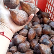 Salak pondoh manis 1 kg langsung dari pohonnya