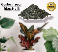 1 SACK ( 12 KILOS ) CARBONIZED Rice Hull or Rice Husk/ SUNOG NA IPA NG PALAY l  Loam Soil Components