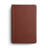 ESV Large Print Value Thinline Bible TruTone, Chestnut