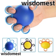 WISDOMEST Finger Grip Ball Strength Recovery Expander Gym Equipment Exercise Trainer