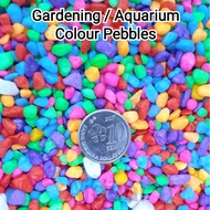 500g Colour Pebbles Mini Stone  Decorative Aquarium Fish Tank Pavement Aqua scape ( 0.3cm - 0.8cm ) 