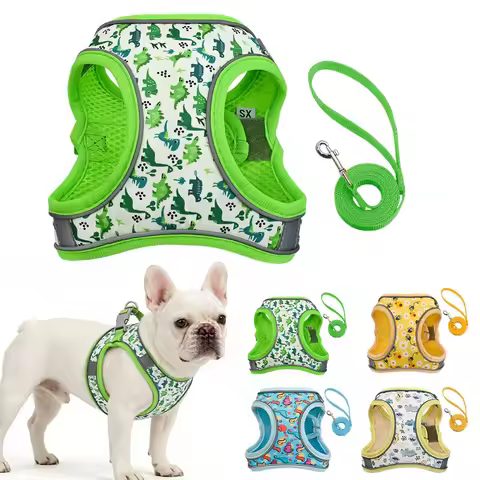 DH009Cartoon-Dog harness and leash set features a breathable honeycomb mesh design to prevent overhe