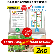 Set Baja AB 2KG / 2000L Untuk Fertigasi dan Hidroponik Sayur Daun Hydroponic Nutrient Fertilizer