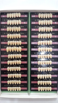 GIGI OPAL H DENT ANTERIOR UPPER dan LOWER Hakusui Japan