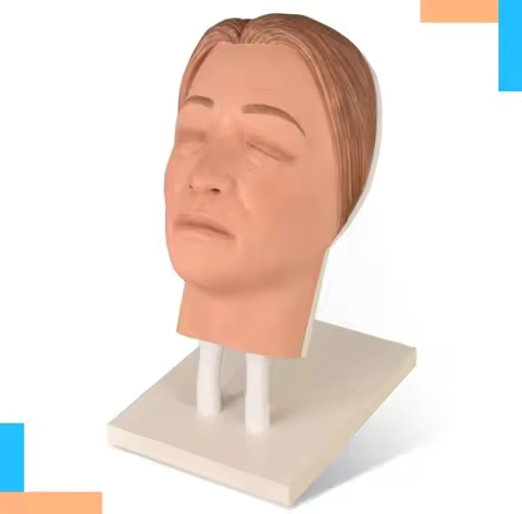 Asian Mannequin Head Facial Injection Manikin Silicone Mannequin Head Injection Simulator Female Fac