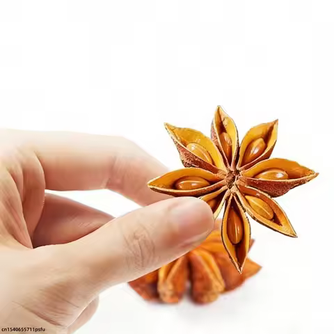 Premium Star Anise Dried Flower Kitchen Seasoning Spice Supply Soap Wedding Candle Material Homemade