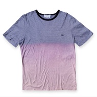 Salvatore Ferragamo Degrade Striped T-shirt