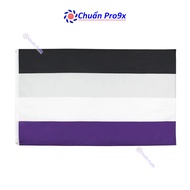 LGBT Flag Asexual Spectrum Impermanence