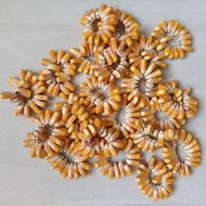 Fun Corn Game Handicraft Stick Kernel Corn Toy Hand Grab Puzzle Stick Kernel Corn Kernel Children's 