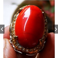 Jumbo Red marjan agate agate stone