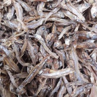 Fresh Anchovy 1KG